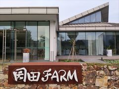 -田园东方蜜桃村的田野营地