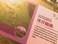-深圳仙湖植物园