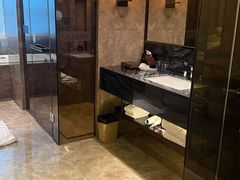 -河源万绿湖美思威尔顿酒店