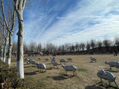 -九十九顶毡房(阜石路店)