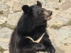 -石家庄市动物园