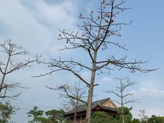-飞来湖湿地公园