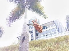 -凤凰轩·尾牙宴·生日宴(十里银滩店)