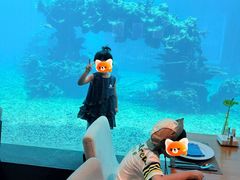 -海棠湾洲际-涛·海底餐厅·美人鱼·自助餐·海底隧道