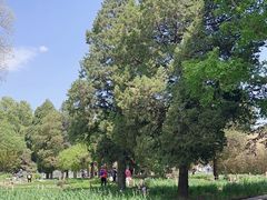 -国家植物园南园