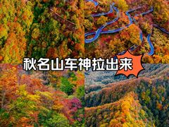 -南山植物园