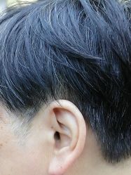 -和良形象
