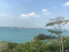 -圣淘沙天际线斜坡滑车