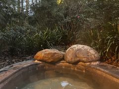 -青城道汤池