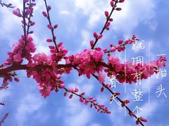 -甘井子公园