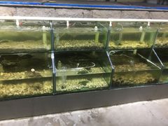 水产区-海岸风情蒸汽海鲜自助餐厅(家宴金手勺店)