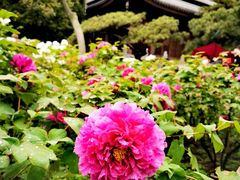 -龙华寺
