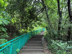 -大蜀山国家森林公园