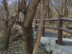 -南京金牛湖风景区