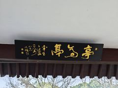 -西湖游船