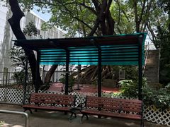 -九龙公园