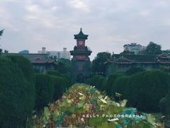 -四川大学(华西校区)