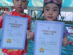 -鲨鱼游泳培训中心