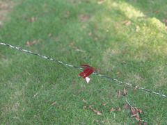 -南宁花花大世界景区