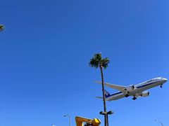 -In-N-Out Burger(LAX)