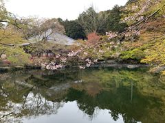 -醍醐寺
