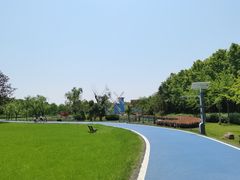 -宜兴龙背山森林公园
