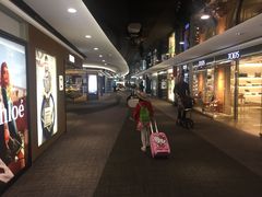 -升恒昌免税商店(桃园国际机场店)