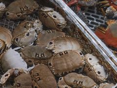 -霞涌市场海鲜摆卖区
