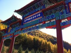 -塞罕坝国家级自然保护区