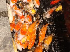 -弘安丽水温泉酒店