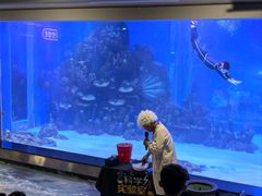 -顺德南宏海立方海洋公园