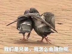 -添好运点心专门店(北角店)