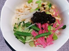 -秀儿四九城·新京菜(亚运村鸟巢店)