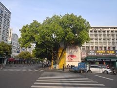 -素馨阁·天水麻辣烫(昌硕路店)