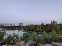 -青枫公园
