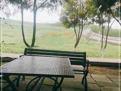 -紫颐香薰山谷景区