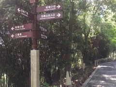 -铁山坪森林公园