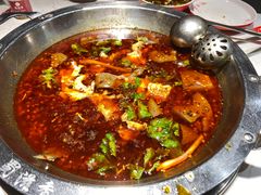 -蜀滋香鲜鱼美蛙火锅(339店)