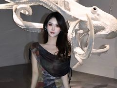 -凤凰中心