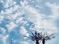 -山海广场