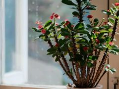 -雕刻时光咖啡馆(南院门店)