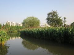 -顺德职业技术大学