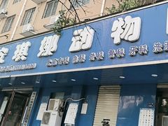 -安琪娜动物医院•健康管理•骨科•急重症诊疗中心