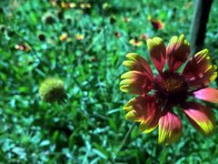 -南京市无想山景区