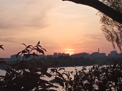 -长春市南湖公园