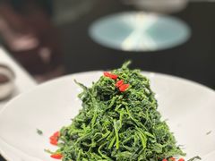 红果枸杞苗-清真·宁夏印象·盐池滩羊肉体验店(江宁路店)