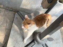 -田园印象·成都土菜院子(华阳店)
