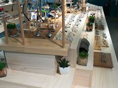 -Trend1881视光·蔡司视觉(领展广场店)