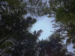 -云栖竹径
