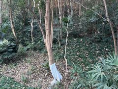 -赭山公园